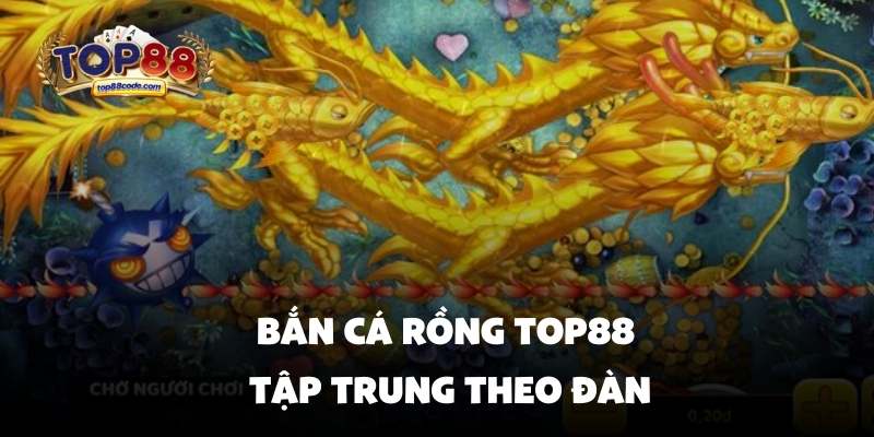 Bắn cá rồng Top88 tập trung theo đàn