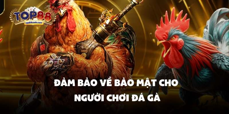 Đảm bảo về bảo mật cho người chơi đá gà